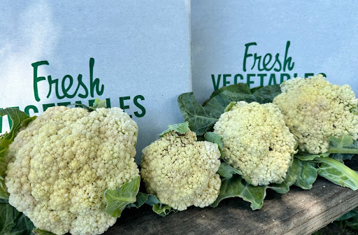 Do Organic Vegetables Taste Better