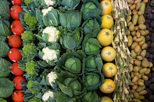 Organic Produce for Assisted Living Facilities