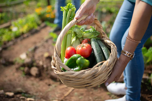 Seasonal Produce