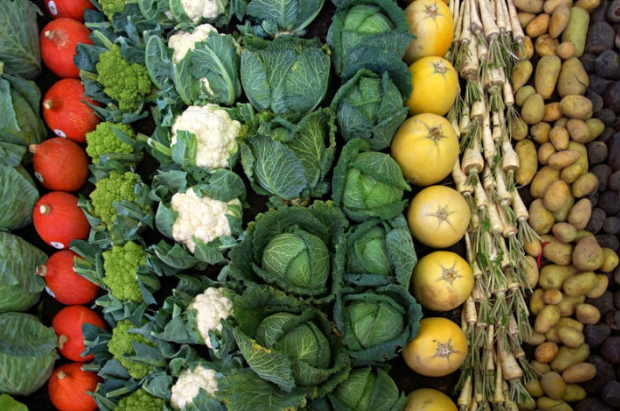 lots of vegetables