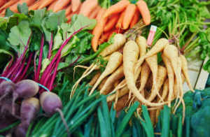 lots of carrots in garden